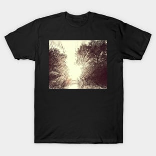 Enchanted Forest Light Illustration T-Shirt